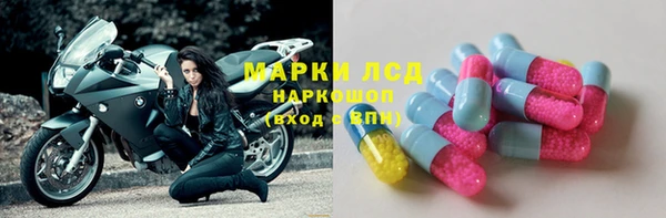 прущие грибы Арсеньев