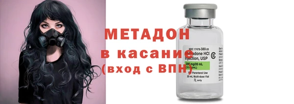 прущие грибы Арсеньев