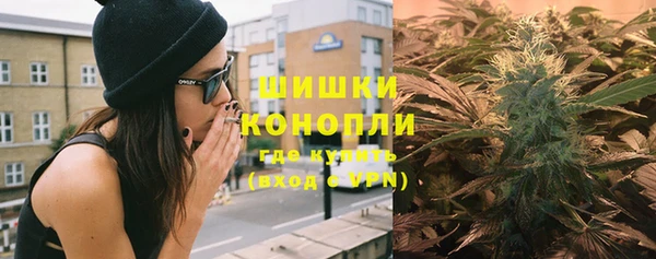 прущие грибы Арсеньев